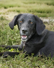 Zoe 1 (1)