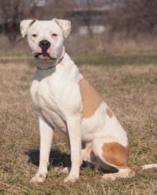 Zeus 1 (1)