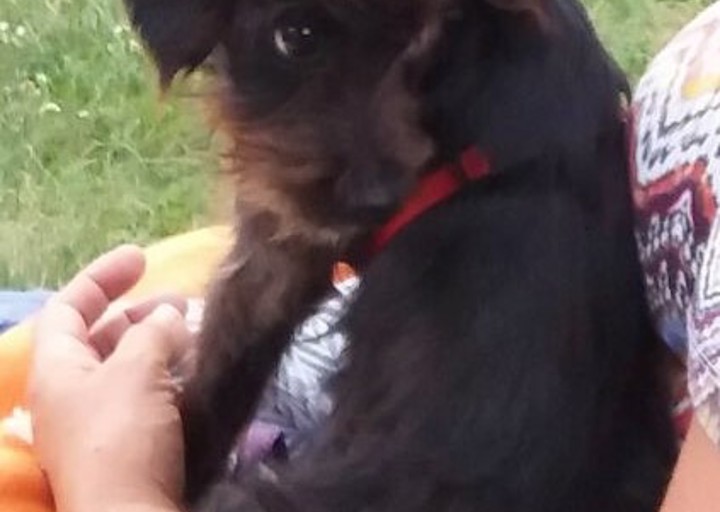 happy_1504381790Ike2.jpg