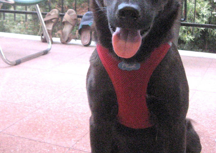 happy_1503347944Foto_4.jpg