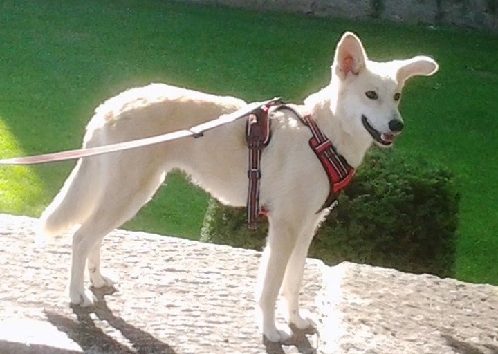 happy_1502654073Foto_1.jpg
