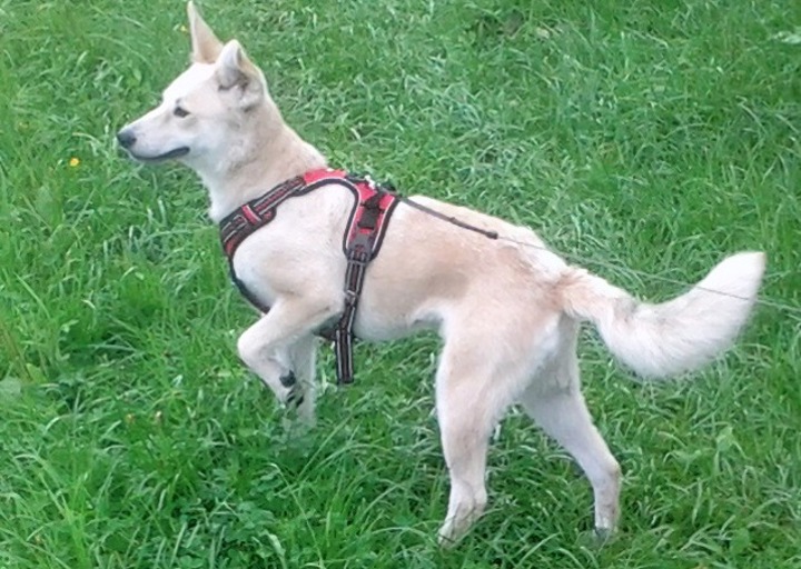 happy_1502654073Foto_3.jpg