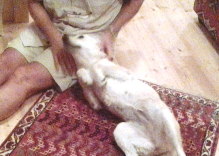 happy_1502654073Foto_4.jpg