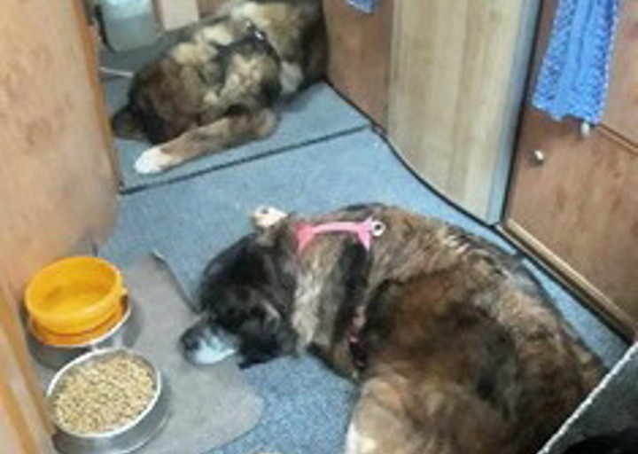 happy_1502569412Foto_3.jpg