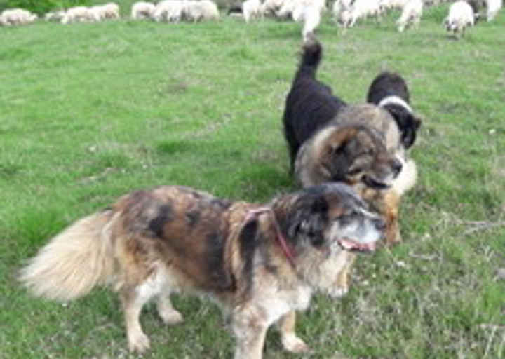happy_1502569412Foto_5.jpg