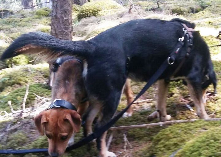 happy_1498248251Foto_5.jpg