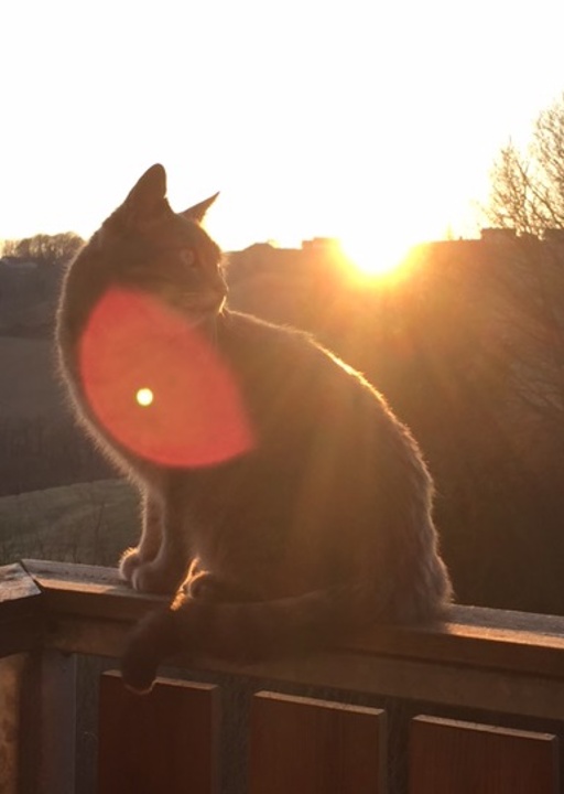 happy_1497899184Foto_1.JPG