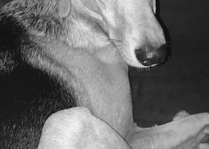 happy_1497299450Timo3.jpg