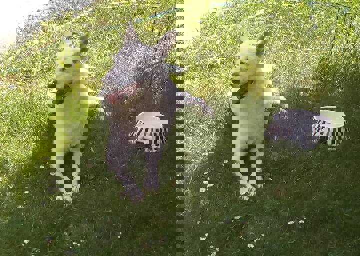 happy_149652198318927271_1824689204224521_724863398_o.jpg