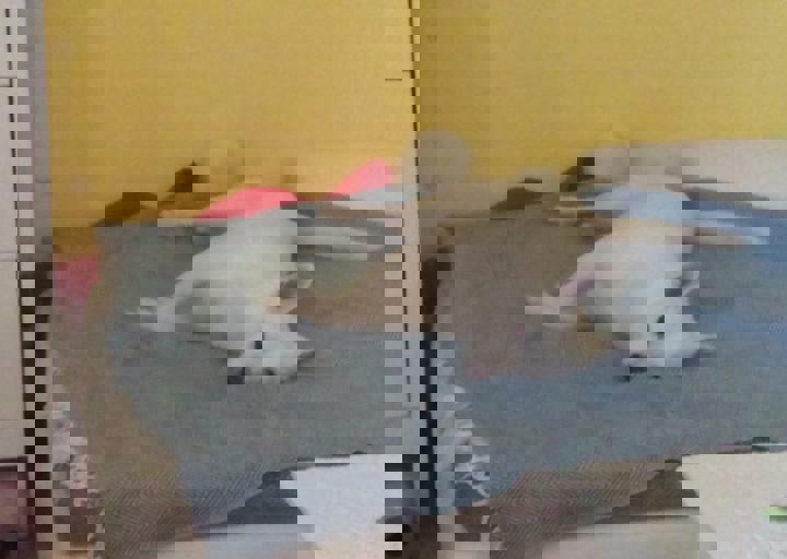 happy_149652198318869954_1824688950891213_403587080_o.jpg