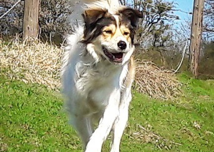 happy_1496348393Foto_3.jpg