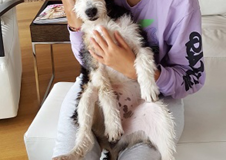 happy_1494849904Oskar3.jpg