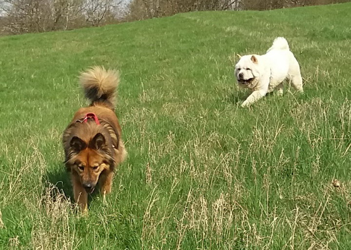 happy_1492628711Foto_3.jpg