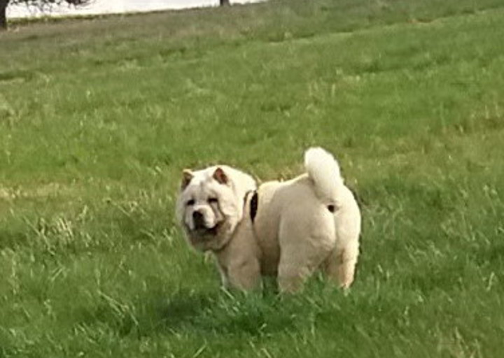 happy_1492628711Foto_5.jpg