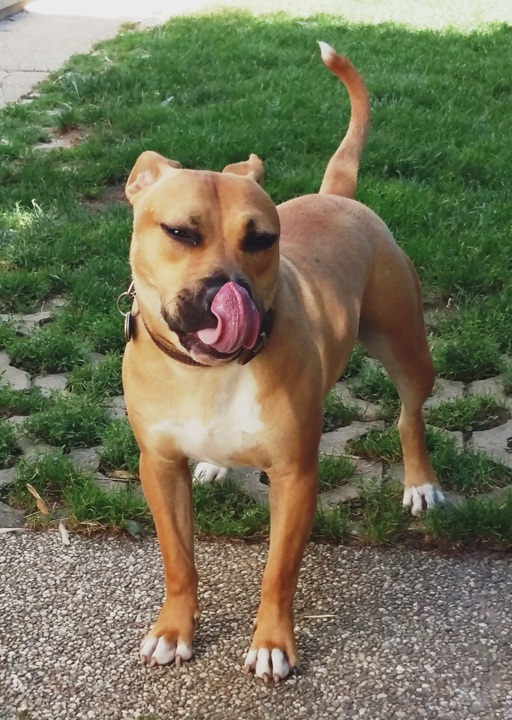 happy_1489610176Foto_1.jpg