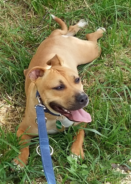happy_1489610176Foto_2.jpg