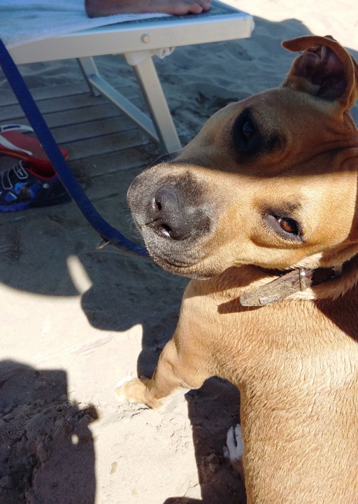 happy_1489610176Foto_3.jpg