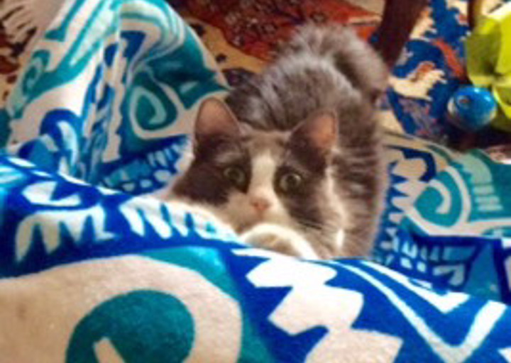 happy_1488836708Foto_4.jpg