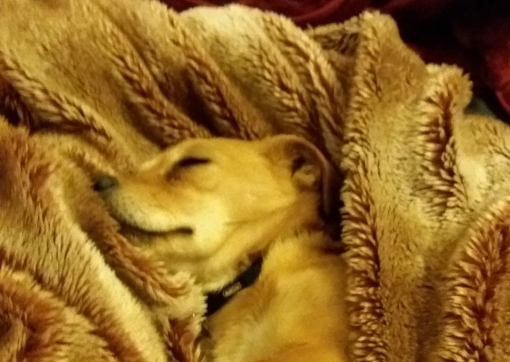happy_148840359020170214_205800.jpg
