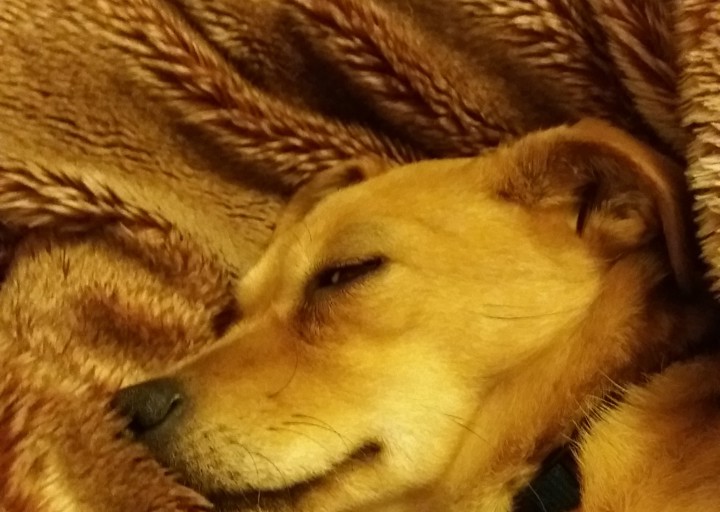 happy_148840359020170214_205740.jpg