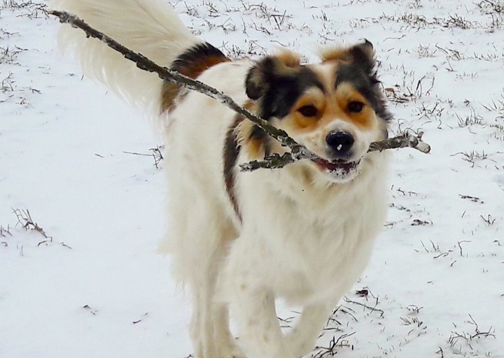 happy_1487787546Foto_1.jpg