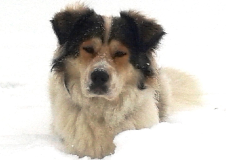 happy_1487787546Foto_4.jpg