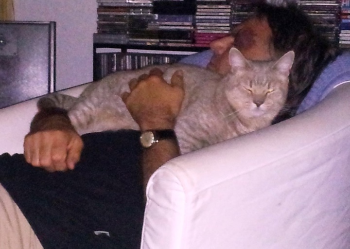 happy_1486234412Foto_1.jpg