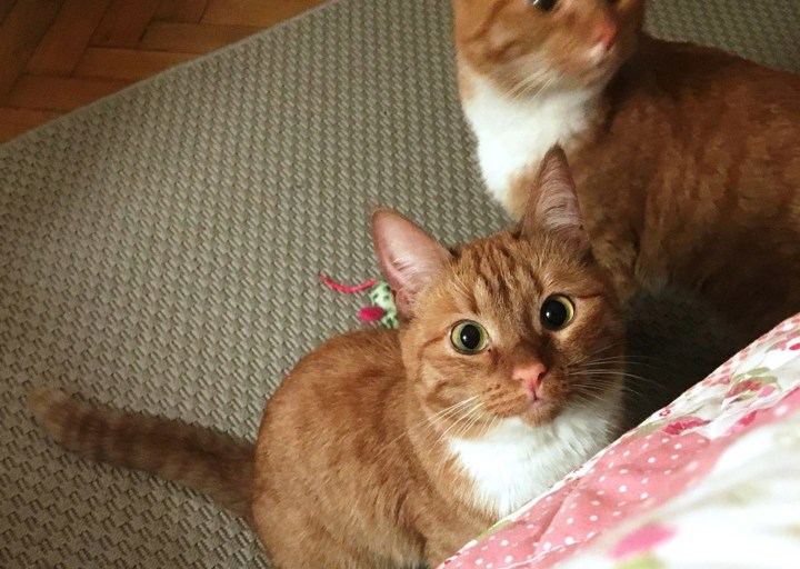 happy_1485823745Foto_1.JPG
