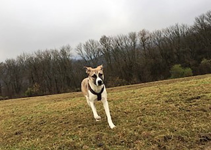 happy_1484249158Julie1.jpg