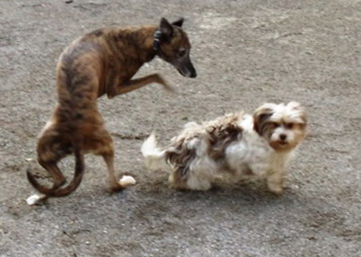 happy_1483119670Foto_3.jpg