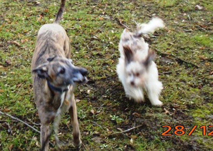 happy_1483119670Foto_4.jpg