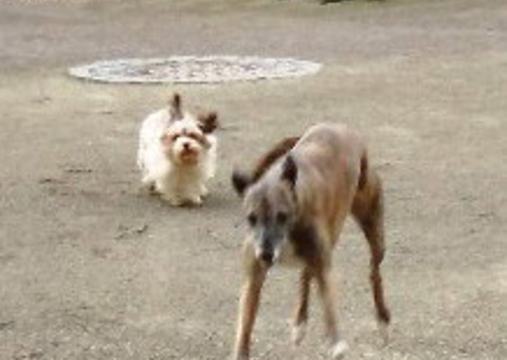 happy_1483119670Foto_5.jpg