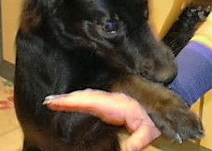 happy_1483028400Sally1.jpg