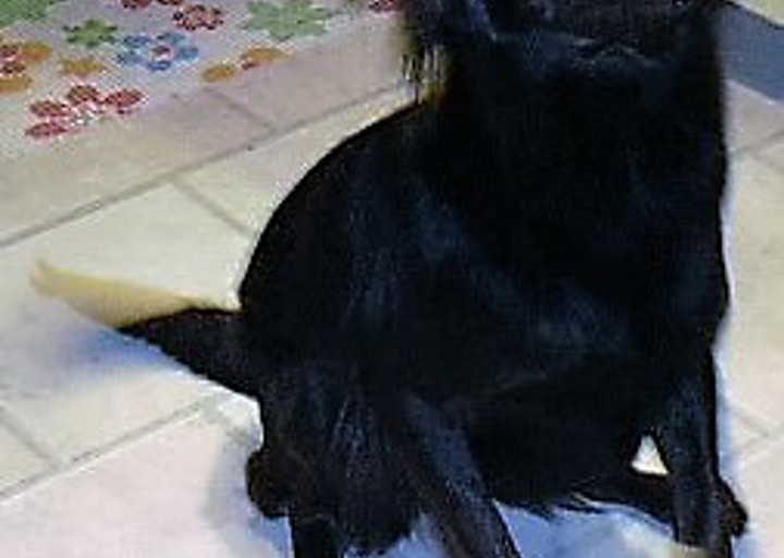 happy_1483028400Sally2.jpg