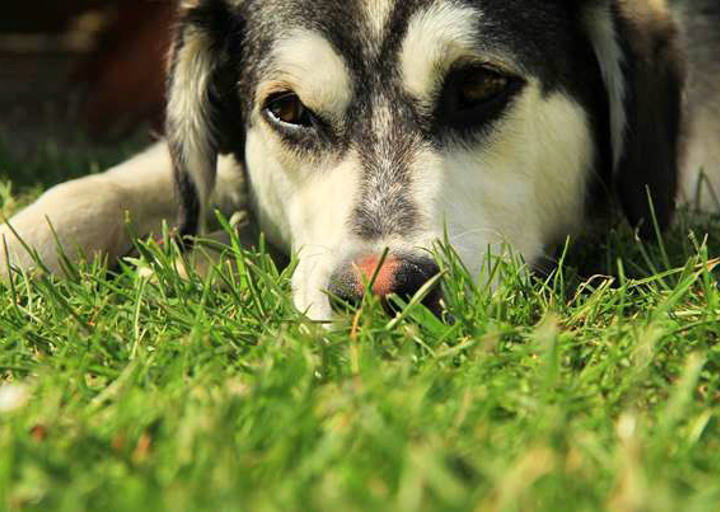 happy_1482528763Foto_1.jpg