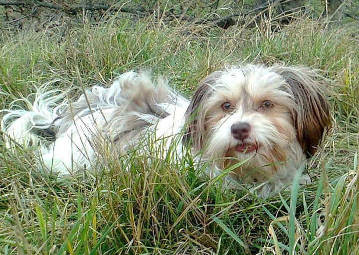 happy_1482167933Foto_1.jpg