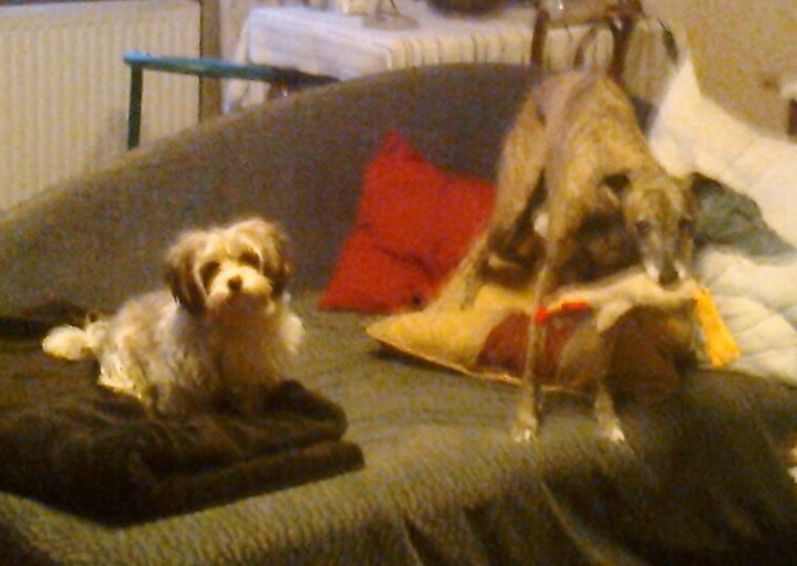 happy_1482167933Foto_2.jpg