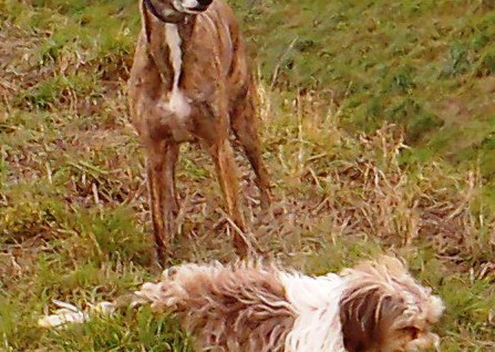 happy_1482167933Foto_3.jpg
