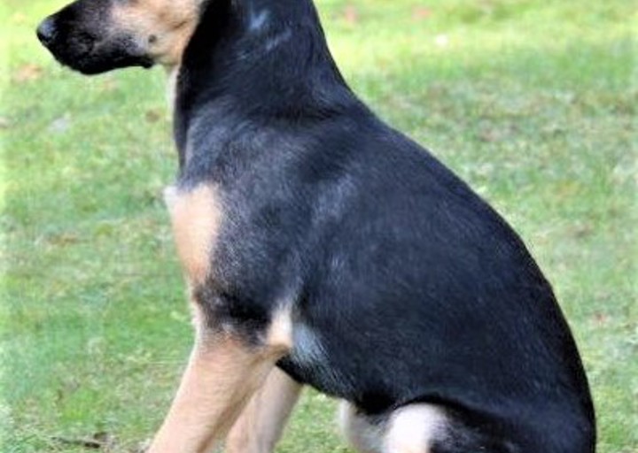 happy_1481058556Panja.jpg