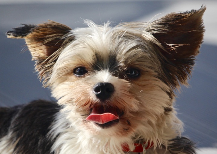 happy_14808863631.jpg
