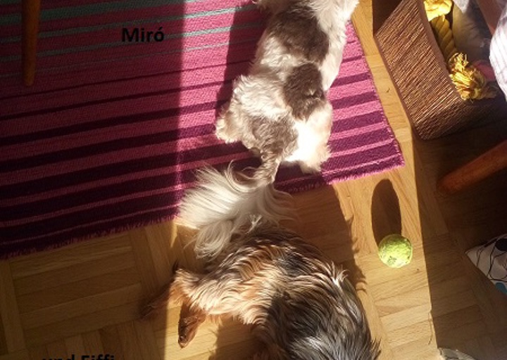 happy_1479665884auf der Sonnenseite des Lebens.jpg