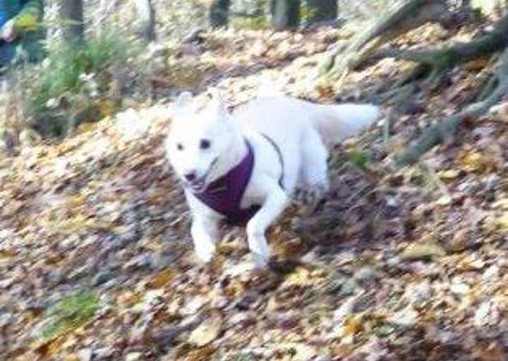 happy_1478901039Foto_4.jpg