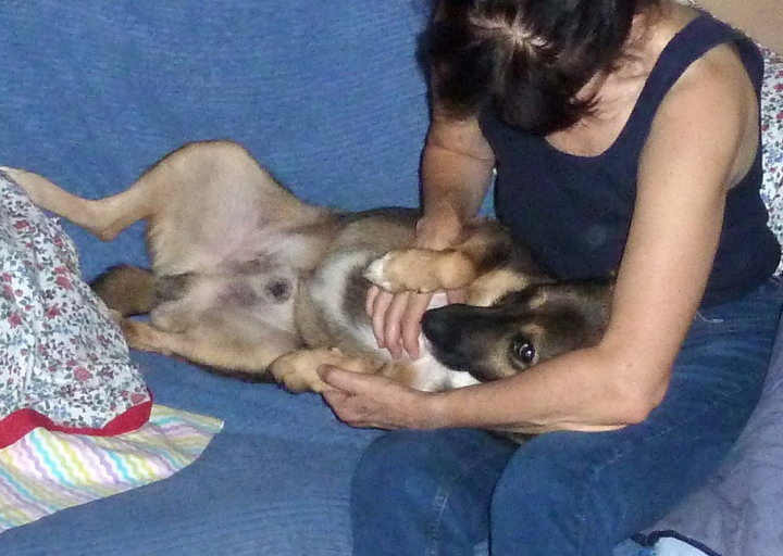 happy_1478961424Foto_1.jpg