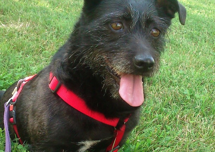 happy_1477249386Foto_3.jpg