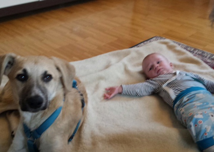 happy_14762153325.jpg