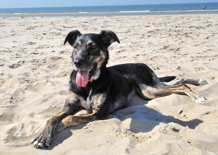 happy_1473698892Foto_1.jpg