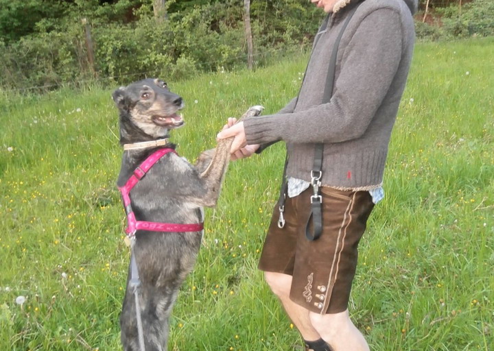 happy_1473698892Foto_2.jpg