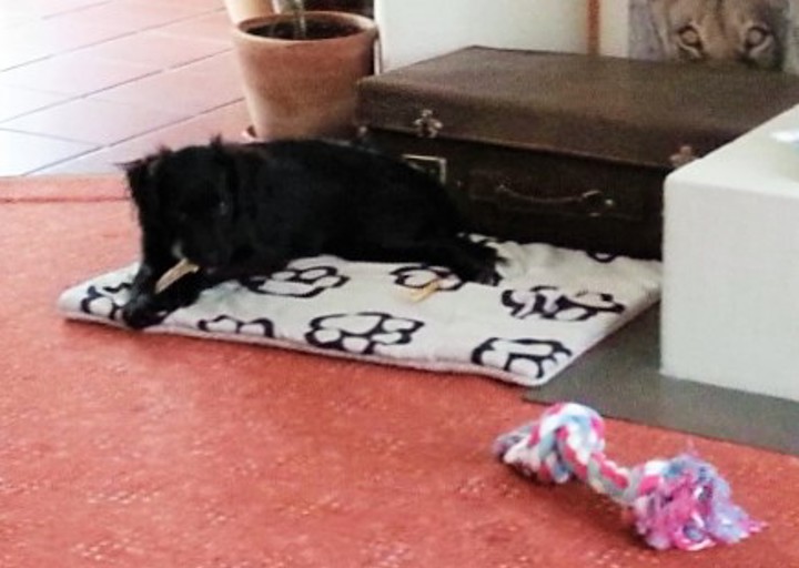 happy_1473070763Tilda2.jpg