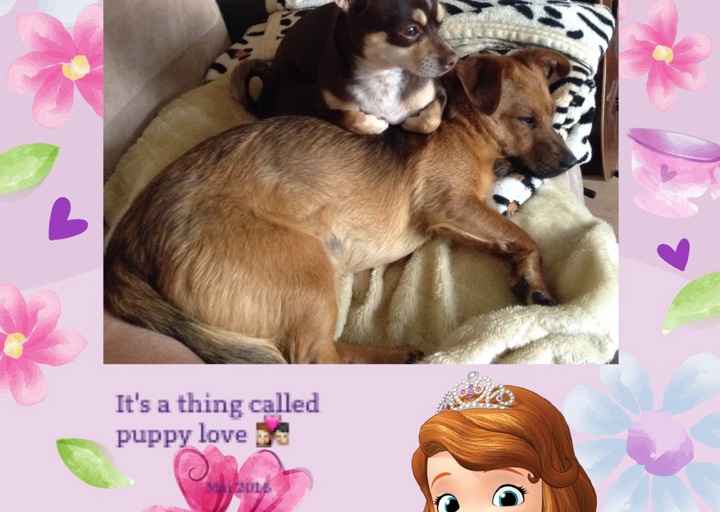 happy_1471545691image.jpeg