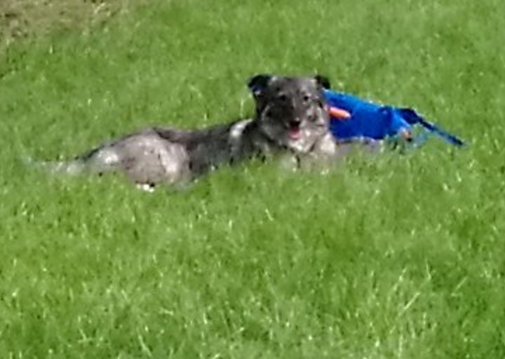 happy_1471546351Adina2.jpg